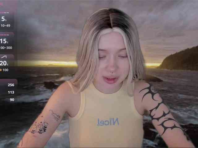 DragonFlya webcam