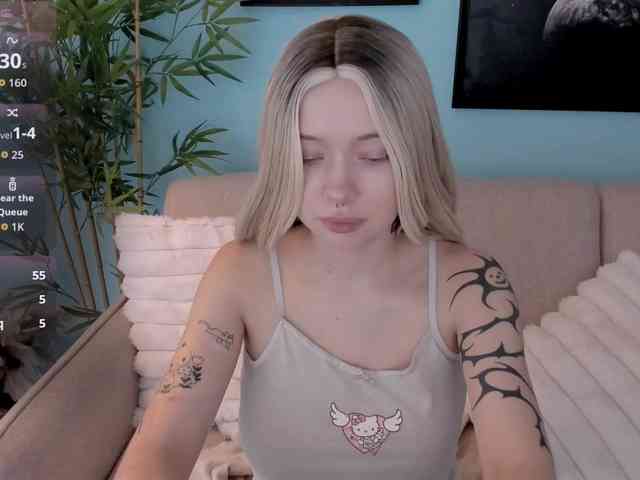 DragonFlya webcam