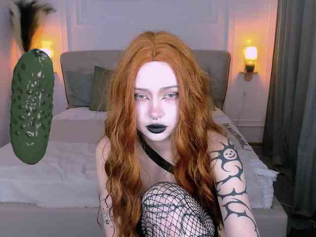 DragonFlya webcam