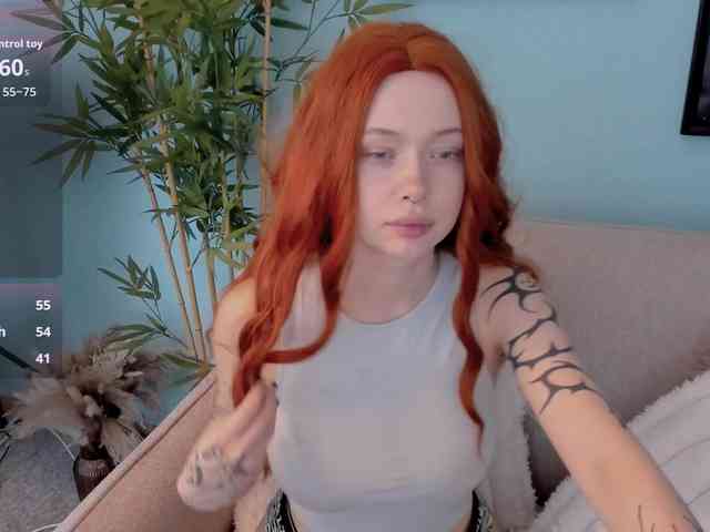 Модель: DragonFlya