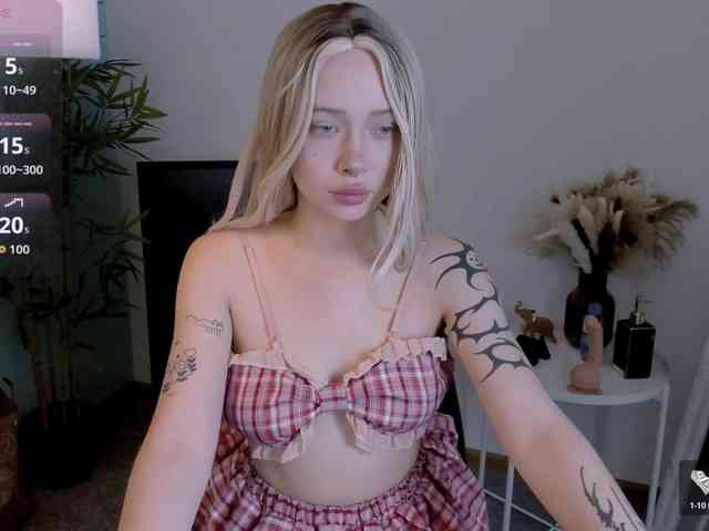DragonFlya webcam