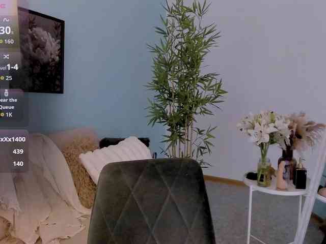 DragonFlya webcam