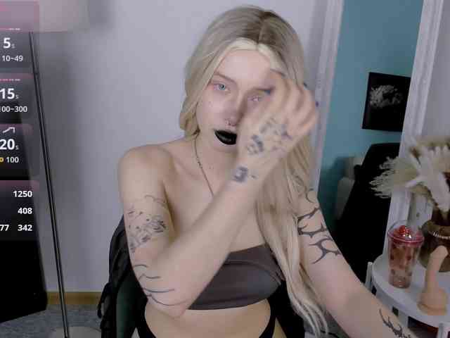 DragonFlya webcam