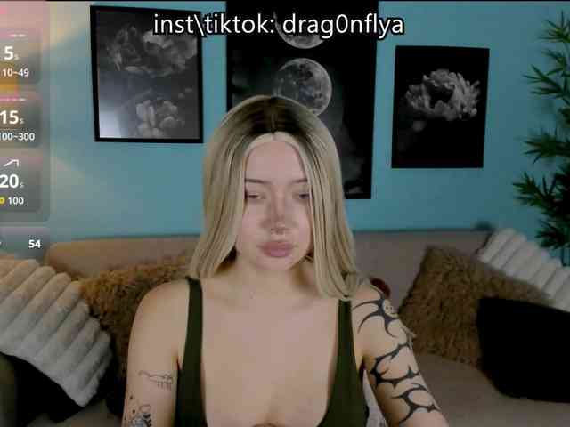 DragonFlya webcam