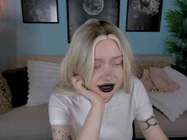 DragonFlya webcam