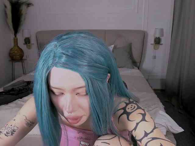 DragonFlya webcam