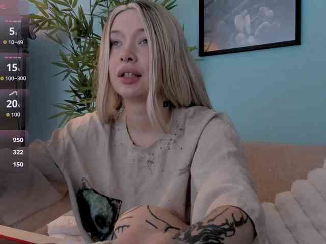 DragonFlya webcam