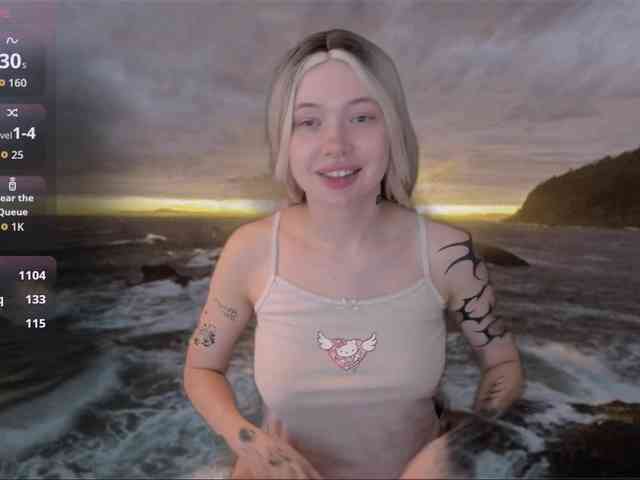 DragonFlya webcam