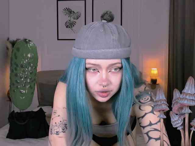 DragonFlya webcam