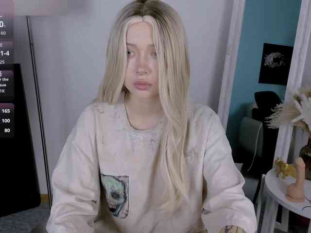 DragonFlya webcam