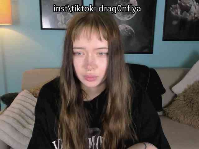 DragonFlya webcam