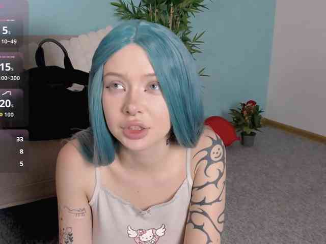 DragonFlya webcam