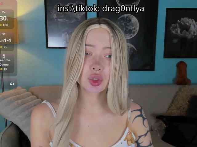 DragonFlya webcam