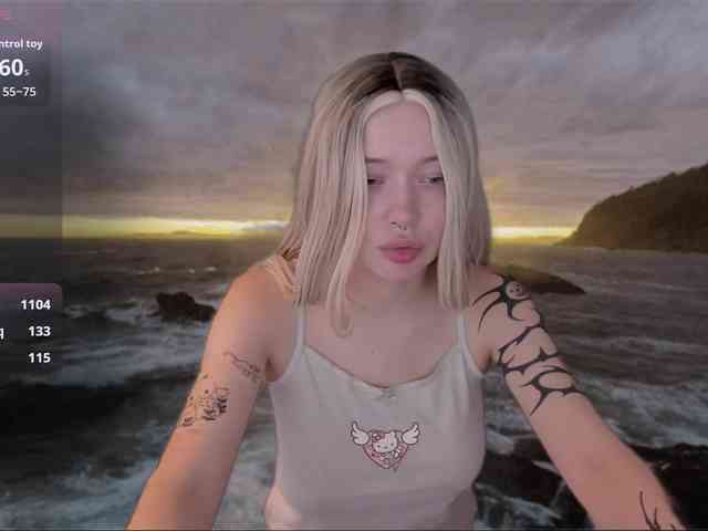 DragonFlya webcam