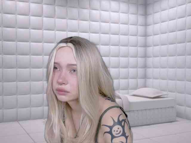 DragonFlya webcam