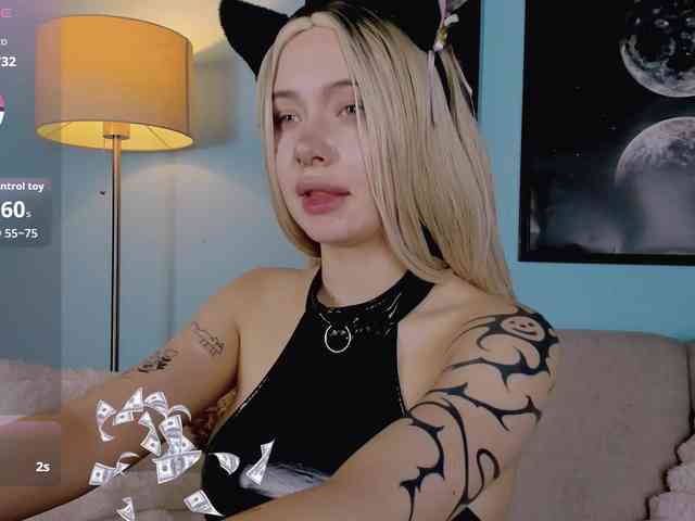 DragonFlya webcam
