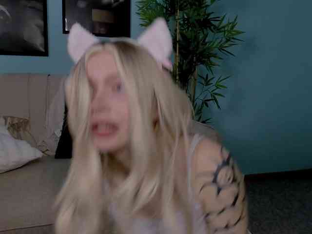 DragonFlya webcam