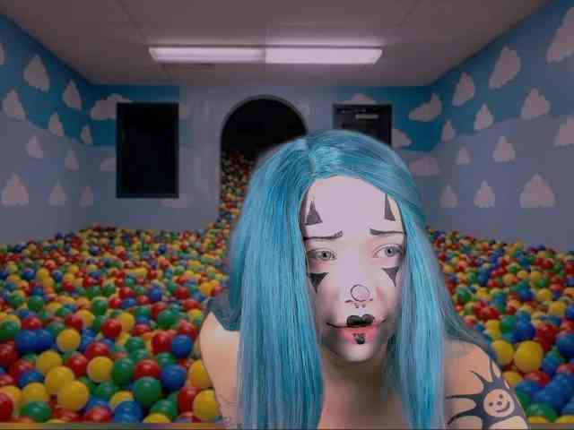 DragonFlya webcam