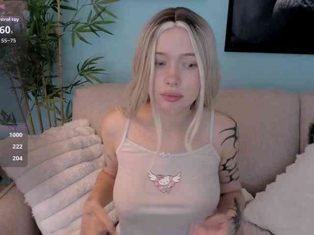 DragonFlya webcam