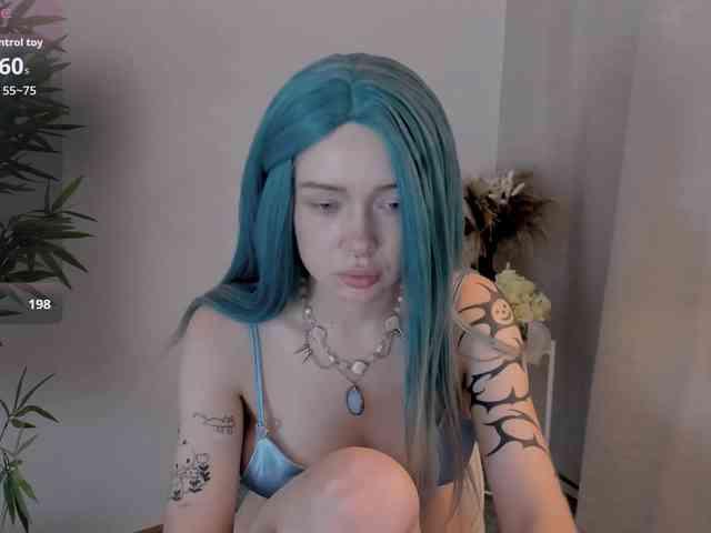 DragonFlya webcam