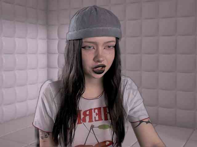 DragonFlya webcam
