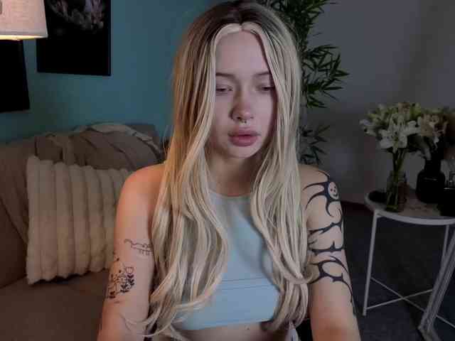 DragonFlya webcam