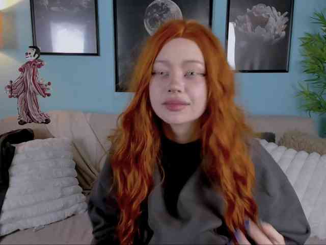 DragonFlya webcam