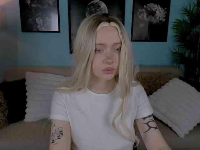 DragonFlya webcam