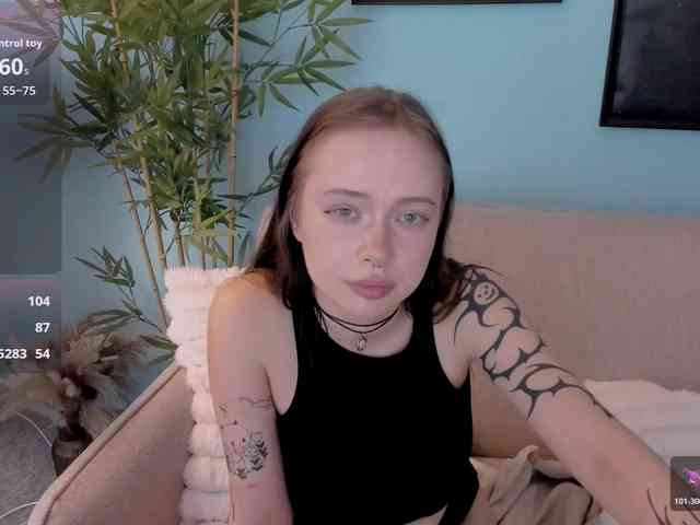 DragonFlya webcam