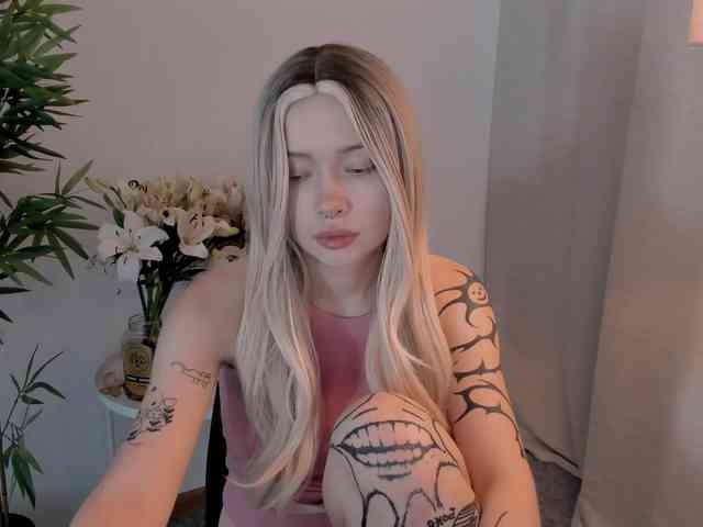 DragonFlya webcam