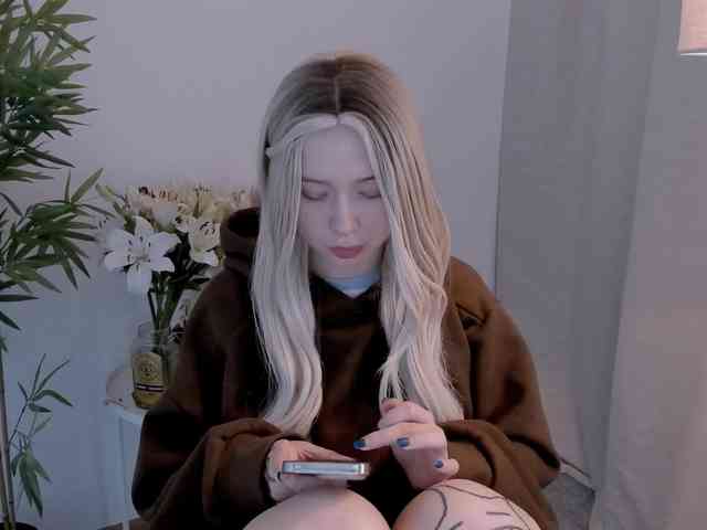 DragonFlya webcam