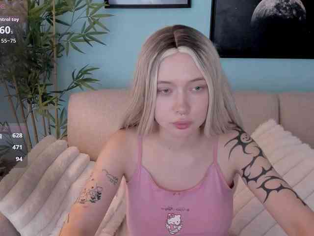 DragonFlya webcam