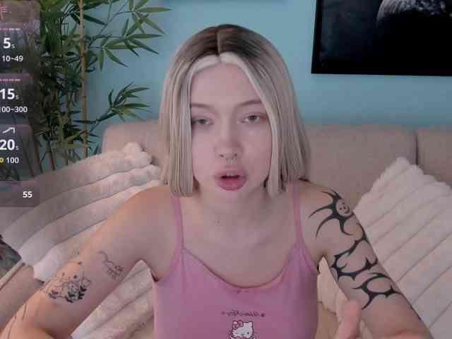 DragonFlya webcam