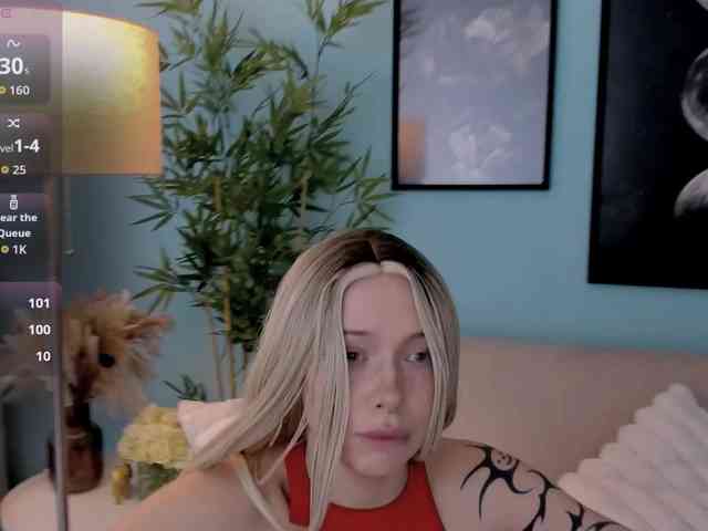 DragonFlya webcam