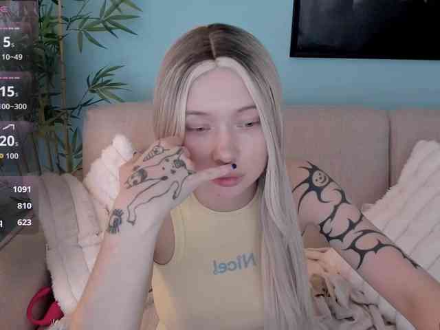 DragonFlya webcam