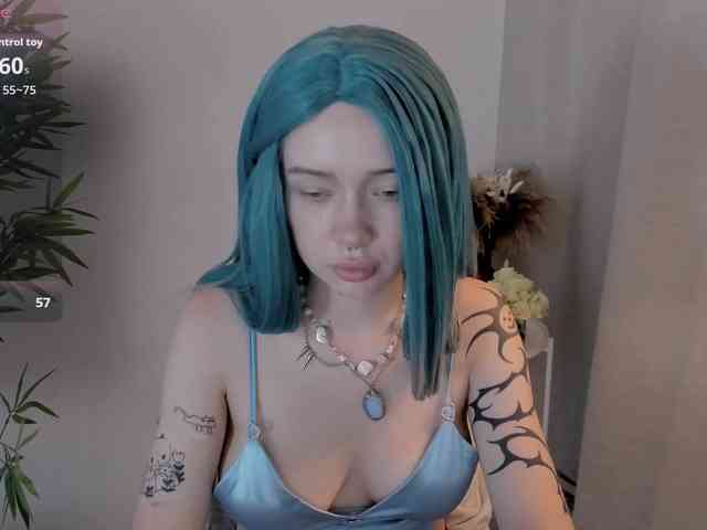 DragonFlya webcam