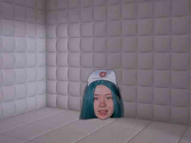 DragonFlya webcam