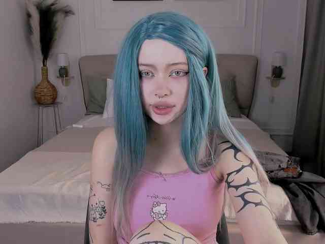 DragonFlya webcam