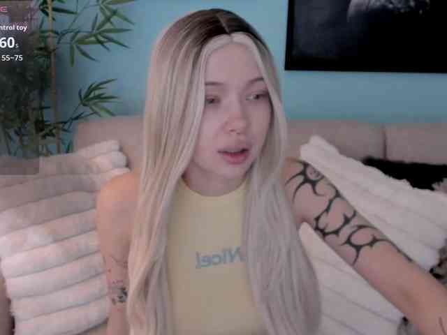 DragonFlya webcam