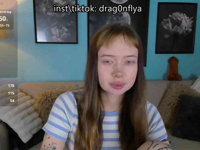 DragonFlya webcam