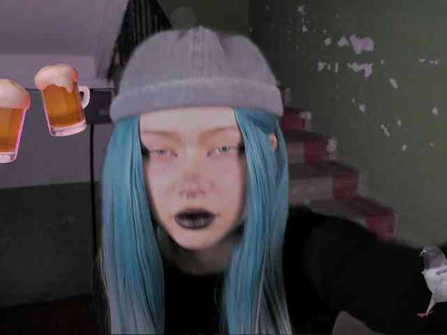 DragonFlya webcam