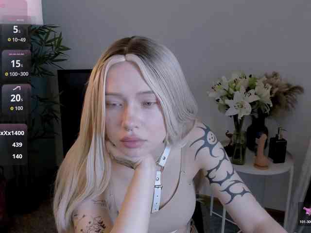DragonFlya webcam