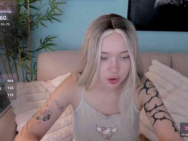DragonFlya webcam