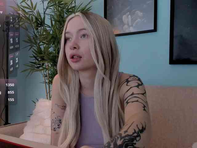 DragonFlya webcam
