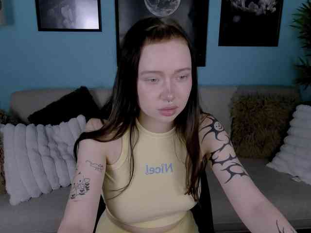 DragonFlya webcam