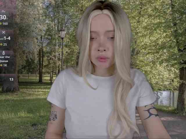 DragonFlya webcam