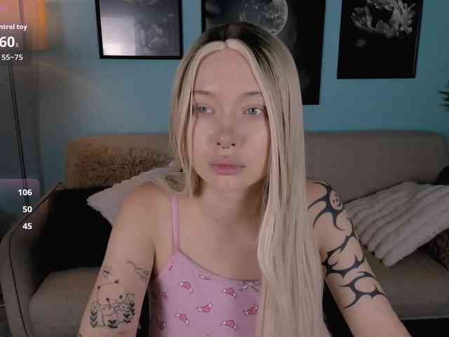 DragonFlya webcam