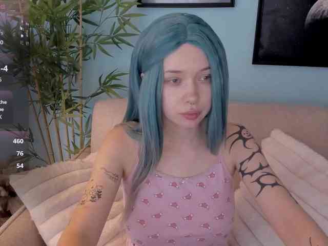DragonFlya webcam