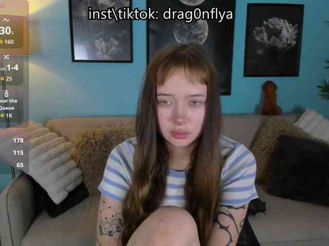 DragonFlya webcam
