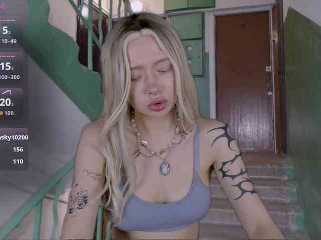 DragonFlya webcam